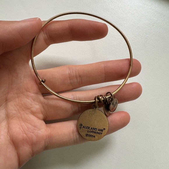 EUC - Alex and Ani Tree of Life 2014 Bracelet - Picture 2 of 4